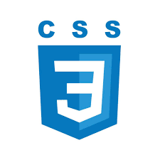 CSS Logo